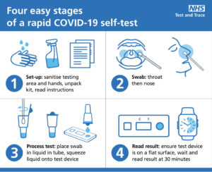 Rapid testing stages graphic